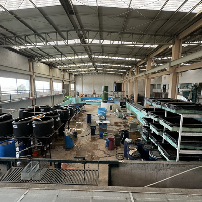 Laboratorio de Ingeniería Acuícola
